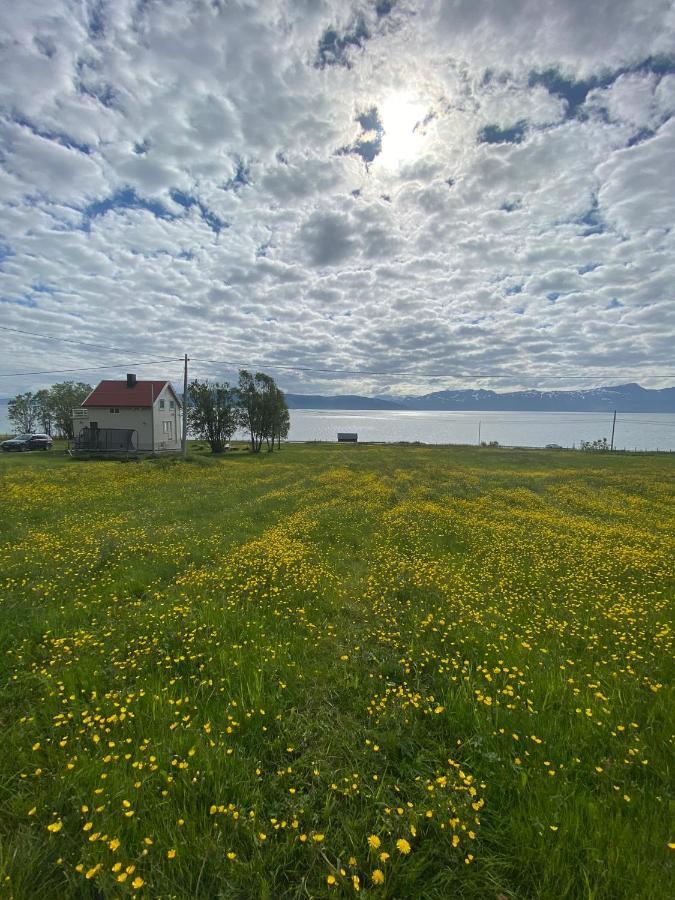 Unique And Charming Holiday Home With Fantastic Sea Views Tromsø Exterior foto