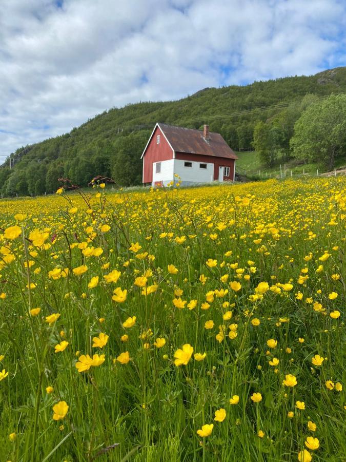 Unique And Charming Holiday Home With Fantastic Sea Views Tromsø Exterior foto