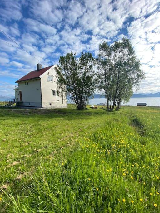 Unique And Charming Holiday Home With Fantastic Sea Views Tromsø Exterior foto