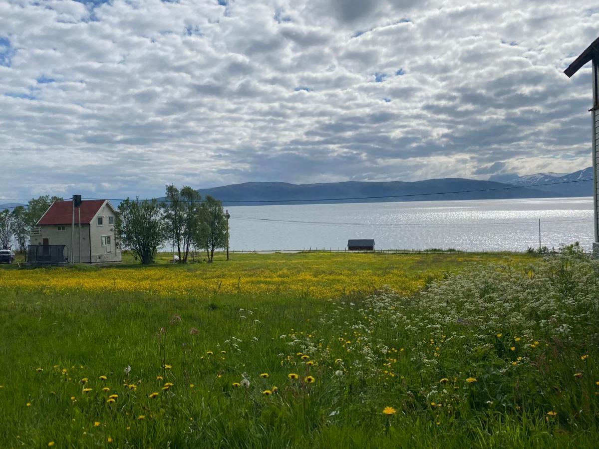 Unique And Charming Holiday Home With Fantastic Sea Views Tromsø Exterior foto