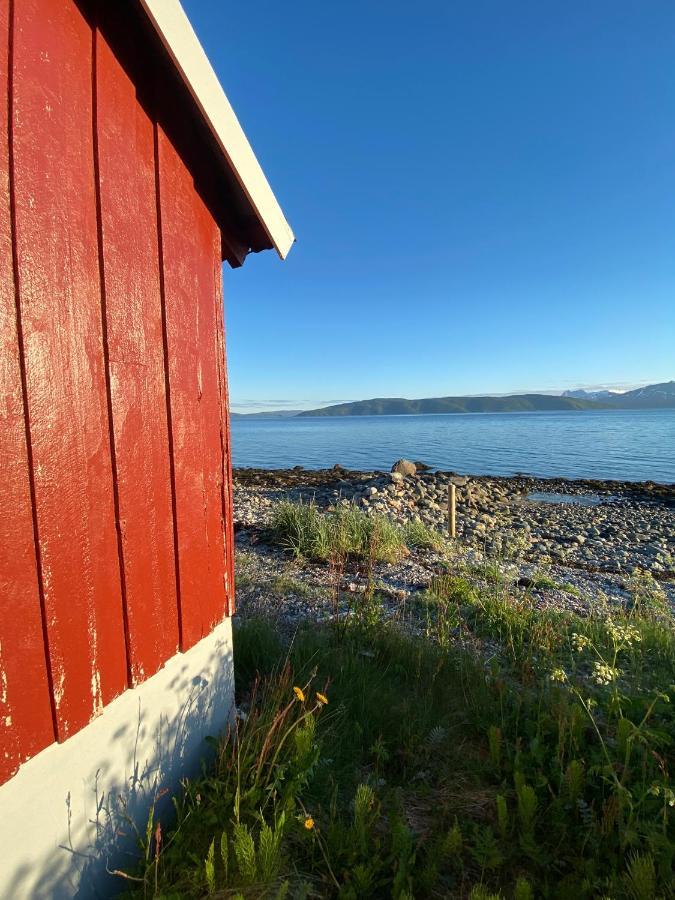 Unique And Charming Holiday Home With Fantastic Sea Views Tromsø Exterior foto