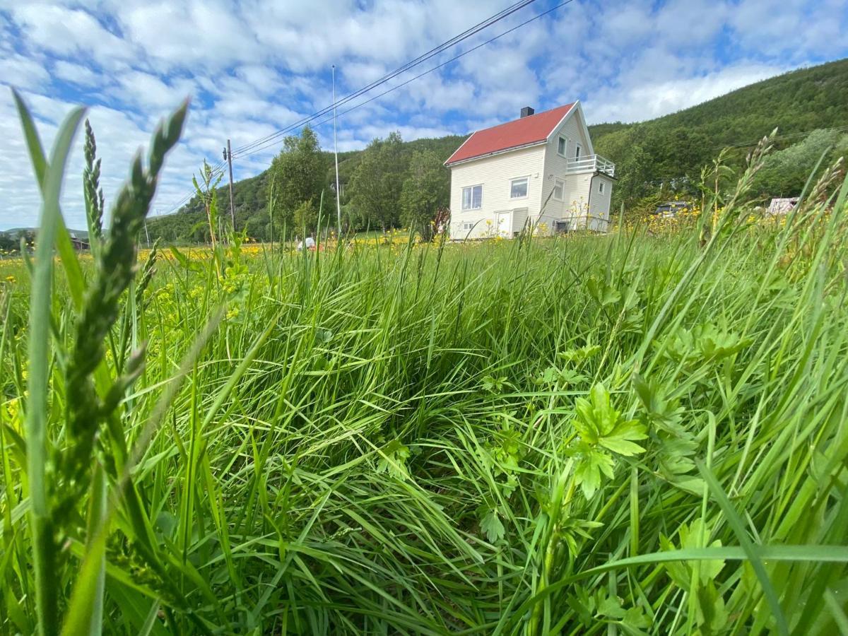 Unique And Charming Holiday Home With Fantastic Sea Views Tromsø Exterior foto