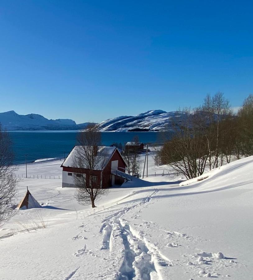 Unique And Charming Holiday Home With Fantastic Sea Views Tromsø Exterior foto